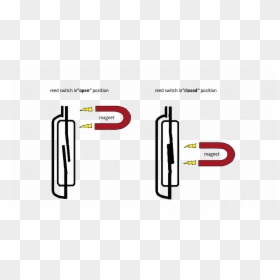 How Does Reed Switch Work - Reed Switch, HD Png Download - reeds png