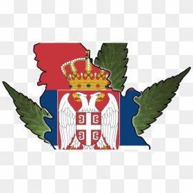 Michigan Medical Marijuana Report - Serbian Duolingo, HD Png Download - medical marijuana png