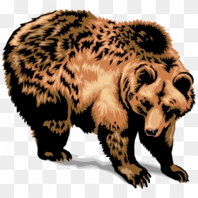 Vector Illustration Of Large Brown Grizzly Bear - Transparent Grizzly Bear Clipart, HD Png Download - bear vector png