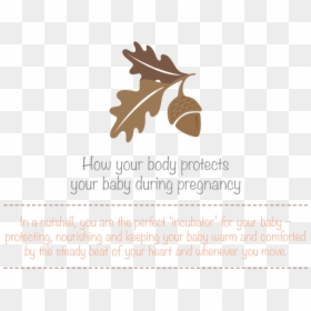 Transparent Baby In Womb Png, Png Download - germs png