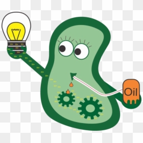 Bacteria Clipart Transparent Background - Bioremediation Icon, HD Png Download - germs png