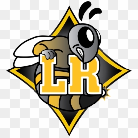 Lower Richland Diamond Hornets, HD Png Download - hornets logo png
