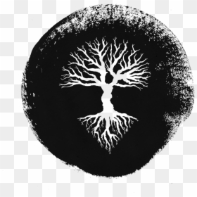 Circle, HD Png Download - aerial tree png