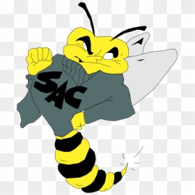 Sacramento State Hornets Logo Png Transparent - Sac State Hornet Logo, Png Download - hornets logo png