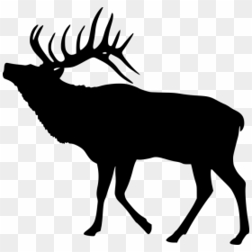 Elk, Deer, Silhouette, Animal, Mammal, Antler, Wildlife - Elk Clipart, HD Png Download - reindeer silhouette png