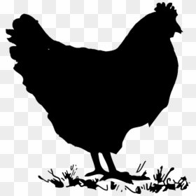 Chicken Clip Art, HD Png Download - rooster silhouette png