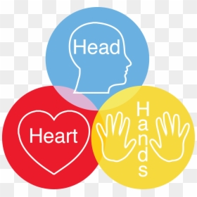 Head Heart And Hand Concept, HD Png Download - heart hands png