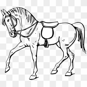 Walking Horse Outline - Outline Pictures Of Horse, HD Png Download - horse face png
