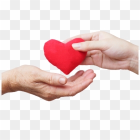 Hands Giving Heart , Png Download - Giving Hands With Heart, Transparent Png - heart hands png