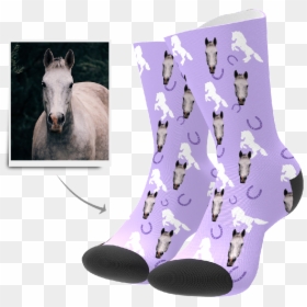 Sock, HD Png Download - horse face png