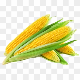 Makka Png, Transparent Png - makka png
