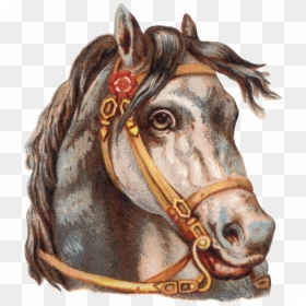 Transparent Horse Face Clipart - Running Horses Png, Png Download - horse face png