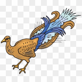 Peafowl, HD Png Download - peacock images hd png