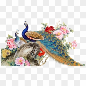 Pavo Real Png - Peacock With Flowers Watercolor, Transparent Png - peacock images hd png
