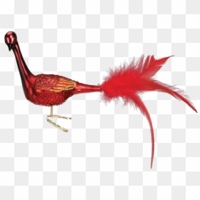 Transparent Peacock Tail Png - Turkey, Png Download - peacock tail png