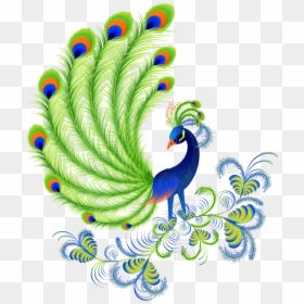 Peafowl Free Content, HD Png Download - peacock tail png