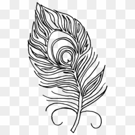Peacock Feather, Coloring Book, Feather, Peacock, Pen - Peacock Feathers Coloring Pages, HD Png Download - peacock tail png