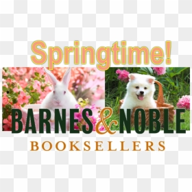 Springtime Storytime At Barnes & Noble - Companion Dog, HD Png Download - barnes and noble png