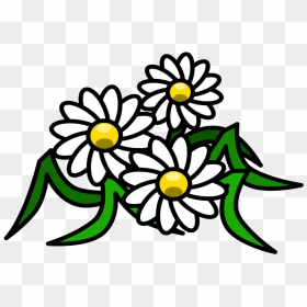Flowers, Daisy, White, Floral, Blossom, Bloom, Beauty - White Flower Clipart, HD Png Download - white flower vector png