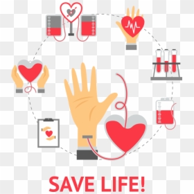 Vector Freeuse Library Organ Web Portal Bowp - Transparent Blood Donation Png, Png Download - donate blood png