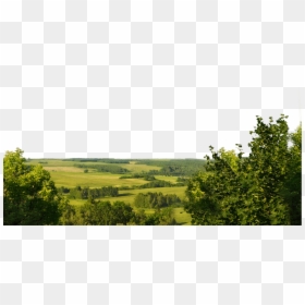Wild Background Png, Transparent Png - natural background png