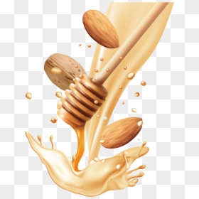 Drink Nut Hand Painted - Nuts And Honey Png, Transparent Png - honey spoon png