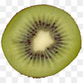 Fruit Cut Open For Maps Qubodup Kiwi Liberated - Kiwi Slice, HD Png Download - kiwi fruit png