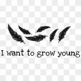 Bird, HD Png Download - picsart pngs