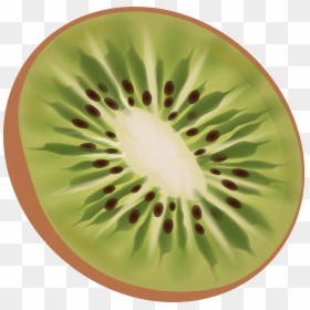 Kiwi Png, Transparent Png - kiwi fruit png