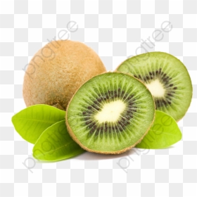 Kiwi Clipart High Resolution - Kiwifruit, HD Png Download - kiwi fruit png