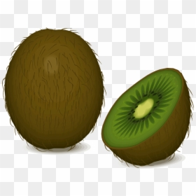 Kiwi Fruit - Macam Macam Buah Dan Sayur Animasi, HD Png Download - kiwi fruit png
