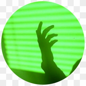 Green Light Hand Shadow Monster Colorsplash Colorful - Yellow Aesthetic, HD Png Download - green color splash png