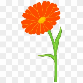 Clip Art Marigold Clip Art - Marigold Clipart, HD Png Download - zendu flower png