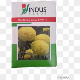 Indus Marigold Seeds, HD Png Download - zendu flower png