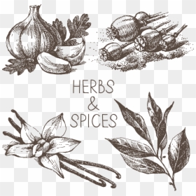 Transparent Spicy Clipart, HD Png Download - spices clipart png