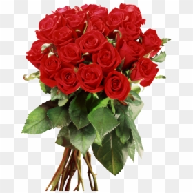 New Model Rose Flower, HD Png Download - zendu flower png