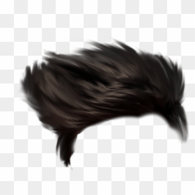 Hair Style Men Png, Transparent Png - hair png photoshop