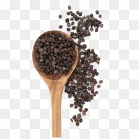 Spoon,spoon,black Pepper,cubeb - Transparent Black Pepper Png, Png Download - spices clipart png