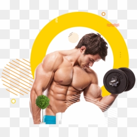 Dumbbell Clipart Male Fitness - Bodybuilder Png, Transparent Png - gym png images
