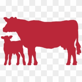 Indian Cow Images Png, Transparent Png - indian cow images png