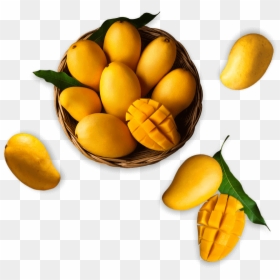 Mango Recipes - Yellow Mango Photography, HD Png Download - alphonso mango png