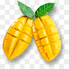Transparent Clipart Of Cut Mango, HD Png Download - alphonso mango png