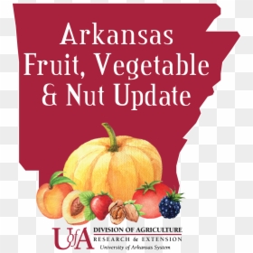 Arkansas Fruit, Vegetable And Nut Update - University Of Arkansas Division, HD Png Download - crops png