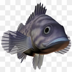 Ocean Fish Png Download - Pomacentridae, Transparent Png - sea fish png