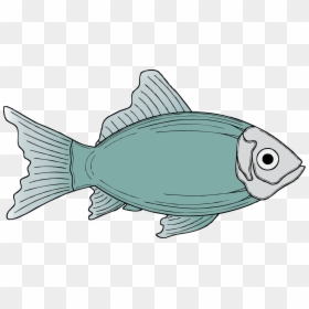 Marine Biology,fish,sea Turtle - Fish Clip Art, HD Png Download - sea fish png