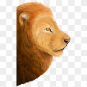 Masai Lion , Png Download - Masai Lion, Transparent Png - lion in png