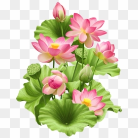 Clip Art Pin By On Png - Lotus Painting Png, Transparent Png - lotus clipart png