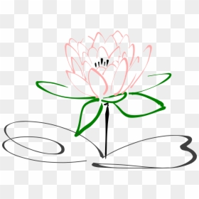 Stem Drawing Lotus Flower - Water Lily Coloring Pages, HD Png Download - lotus clipart png