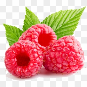 Alpine-strawberry - Raspberry Png, Transparent Png - strawberry png images