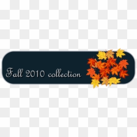 Fall Collection Tab Clip Arts - Barberton Daisy, HD Png Download - tab png images